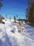 Fikastopp på slädturen