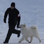 Utställning Furudal Northon 2:a bästa hane,BIR-Bruks,BIR-Veteran