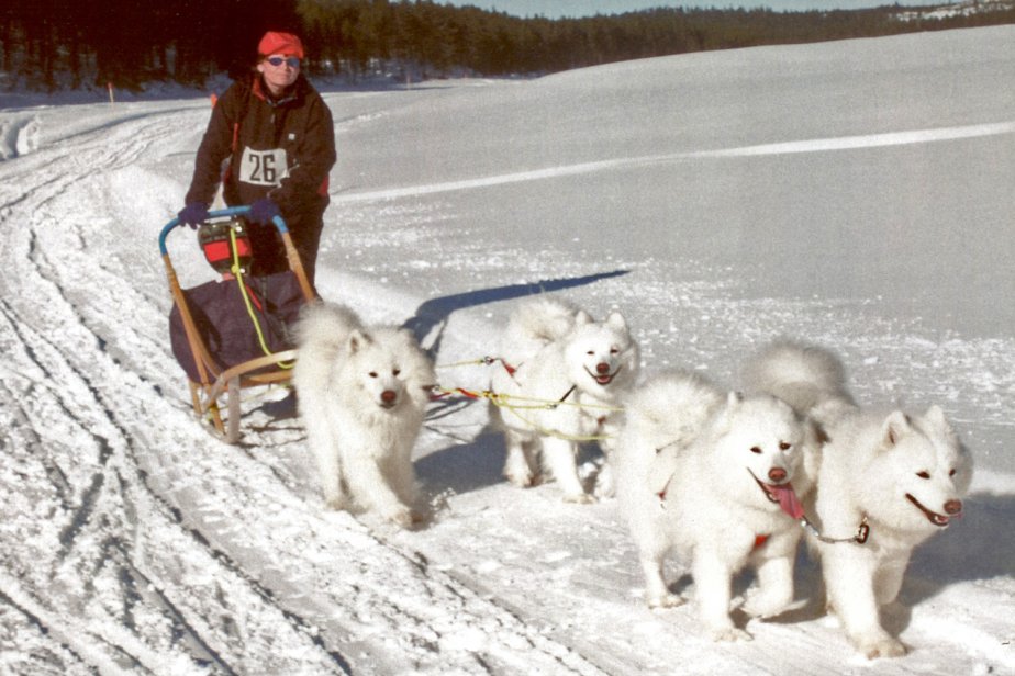 Vindelälvsdraget med Karloff Laika Marsjenka Birka