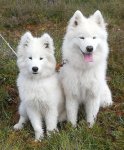 Wintra 6 mån och Glazkova 3 år