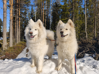 Mamma Wintra och dottern Borga