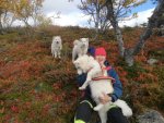 Wintra i knäet,Silver och Telma i bakgrunden på fjället